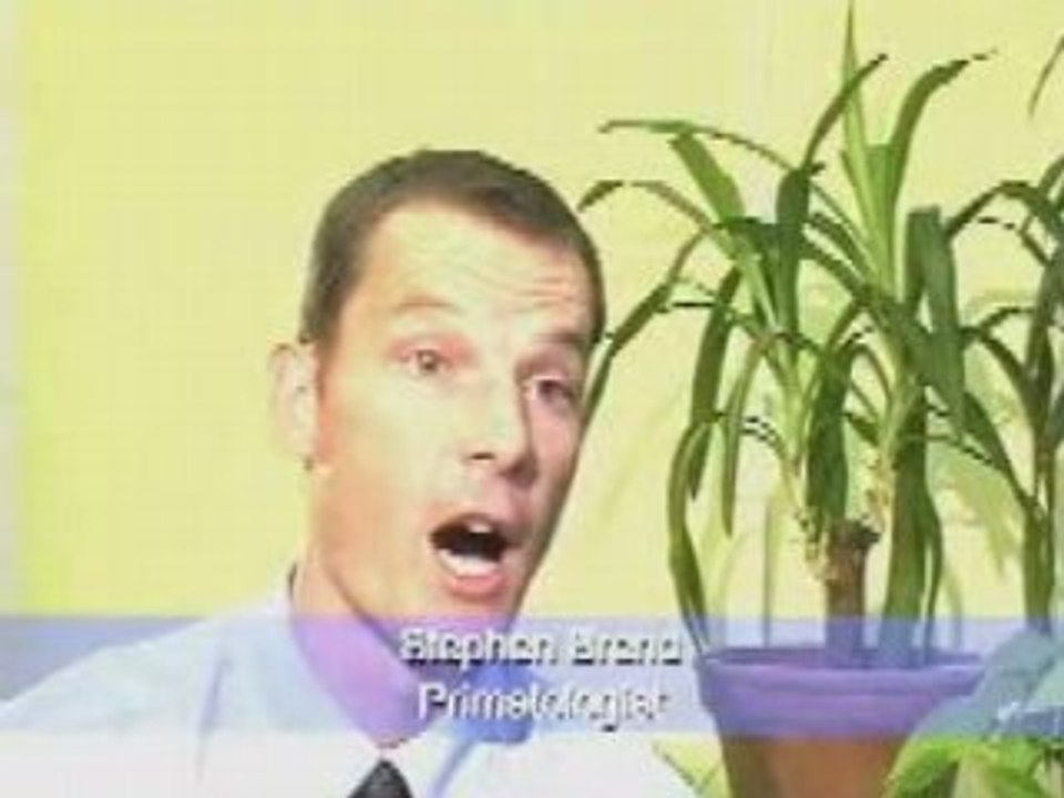 Choc torture animale recherche medecine