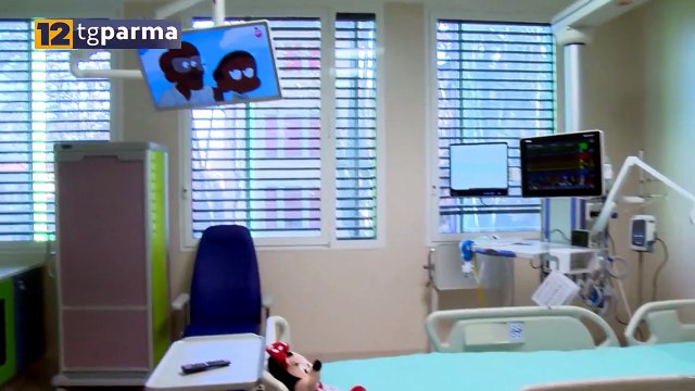 PARMA: CASO DI DENGUE PER UNA BAMBINA DI 5 ANNI | PARMA: CASO DI DENGUE PER UNA BAMBINA DI 5 ANNI