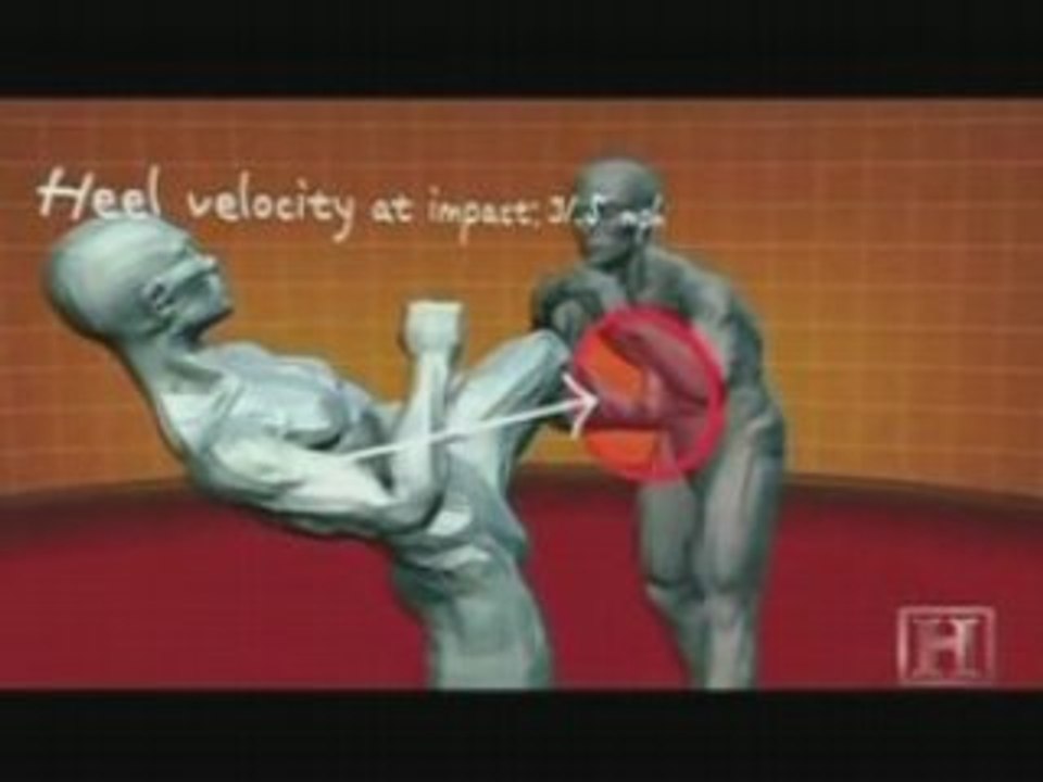 Human Weapon( Pankration, Savate, Tae Kwon Do )