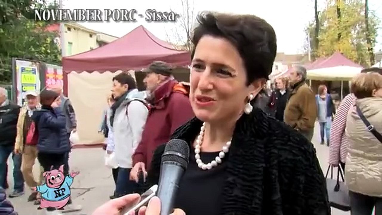 NOVEMBER PORC - SISSA