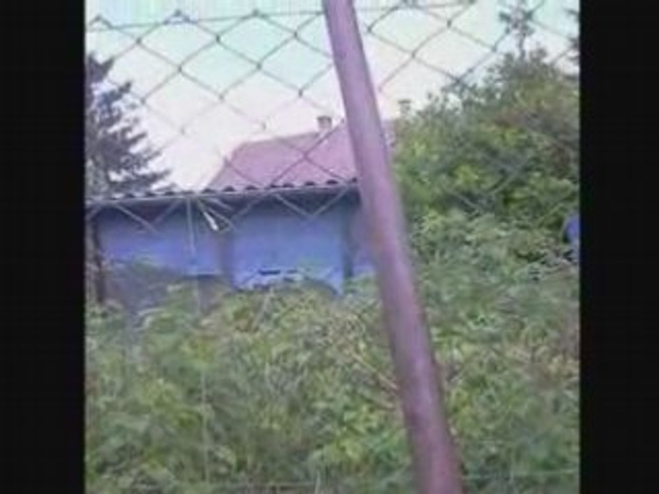 La pelle du dix huit juin