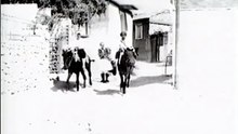 Ενωμένοι στη ζωή και στο θάνατο (1964)
