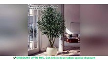 Large Artificial Olive Tree PE Material Luxury Nordic - Hidden Gem Product | Smart Choice | Smart