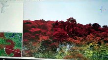 Hidden in the Amazon 隐藏在亚马逊