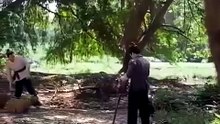 DE LA RUINA AL TRIUNFO - Spanish Revenge Short Drama Full Series