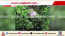 പൊന്മുടിയിൽ യാത്രക്കാരെ പിൻതുടർന്ന് കാട്ടന; രക്ഷപ്പെട്ടത് തലനാരിഴയ്ക്ക്