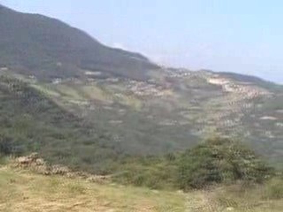 region de  yakouren