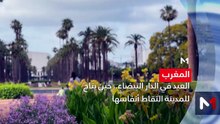 نشرة المسائية - 30/05/2026