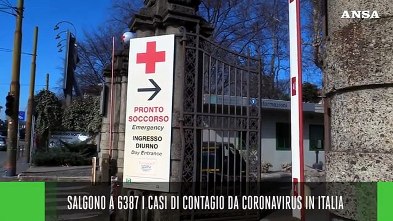 Ansa Live ore 19