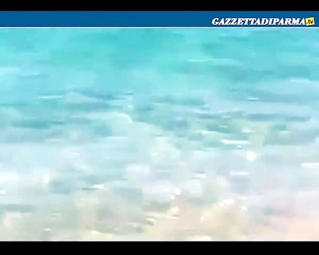 Squalo in Sardegna, panico tra i bagnanti