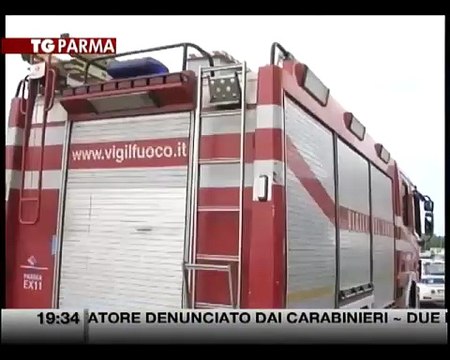 Tromba d'aria: scoperchiato capannone e alberi caduti
