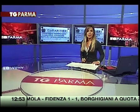Tre ladri al Fidenza Shopping Park arrestati dai carabinieri
