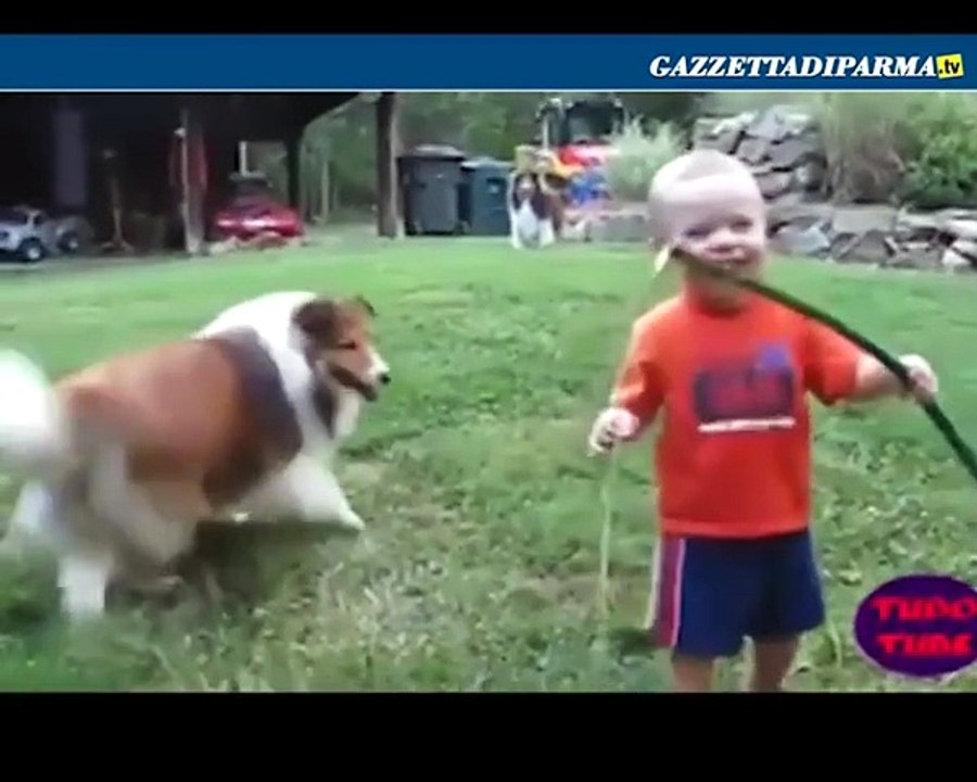 Cani e bimbi