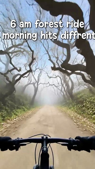 Horror cycling forest scene