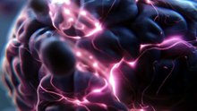 Eat This For A Healthier Brain