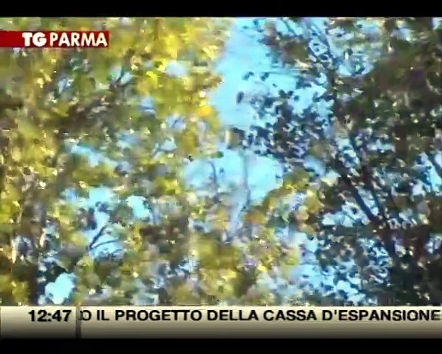 Raffiche di vento: un albero cade su auto e pericolo all'asilo Mongolfiera