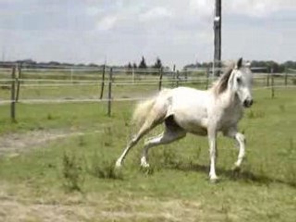 LILY BELLE JUIN 2008