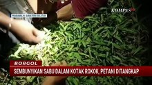 Sembunyikan Sabu dalam Kotak Rokok, Petani Asal Lampung Ditangkap di Prabumulih | BORGOL
