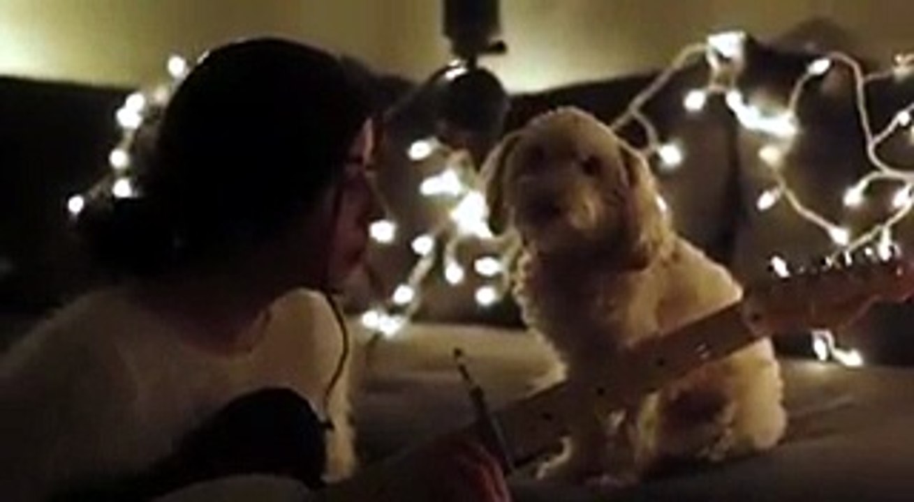 Come ti incanto il Natale (e il cane) Video