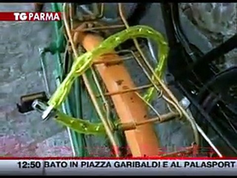 Furti di biciclette: Parma fra le città più colpite in Italia