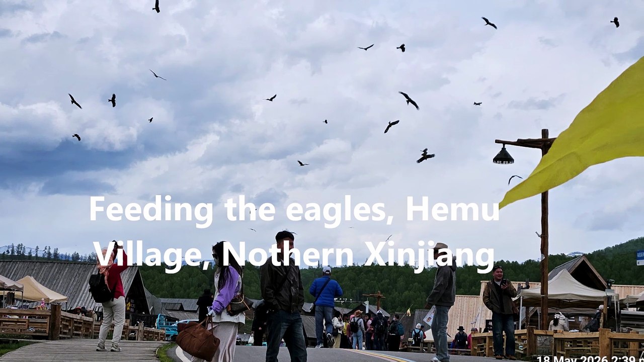 Feeding the eagles, Hemu Village - Northern Xinjiang