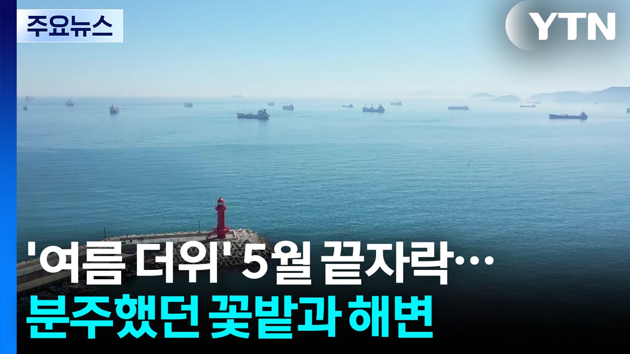 '여름 더위' 5월 끝자락...분주했던 꽃밭과 해변 / YTN