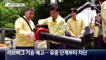 러브버그 카운트다운…15일 뒤부터
