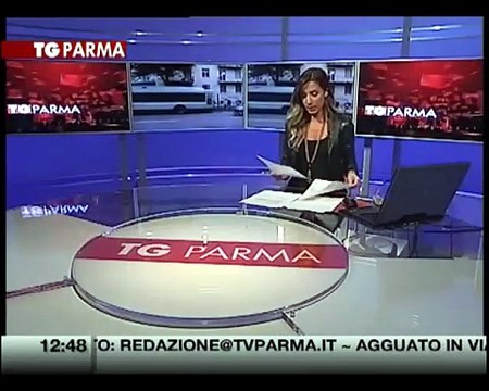 Poliziotti aggrediti in viale Toschi