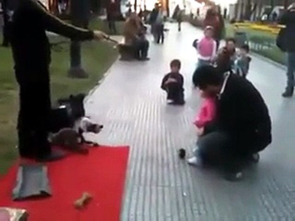 L'artista di strada, la bimba e il "cane"