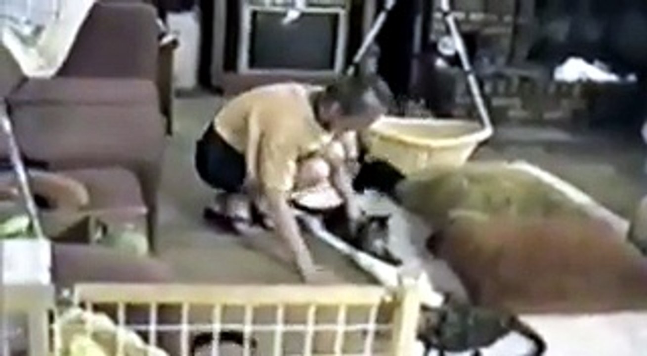 Lo spavento è gatto