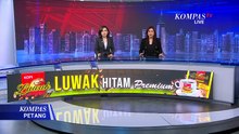 Perayaan Gelar Liga Champions PSG Berujung Bentrokan, Ratusan Orang Ditangkap di Prancis