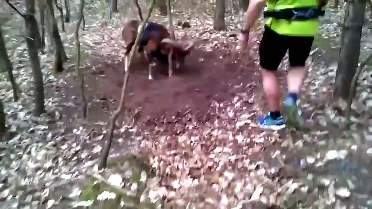 Un salvataggio rischioso