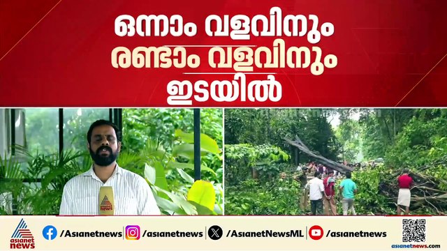 താമരശ്ശേരി ചുരത്തിൽ മരം വീണു; ചുരത്തിൽ ഗതാഗത തടസം