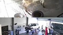 Boi invade oficina mecânica no sul de Minas