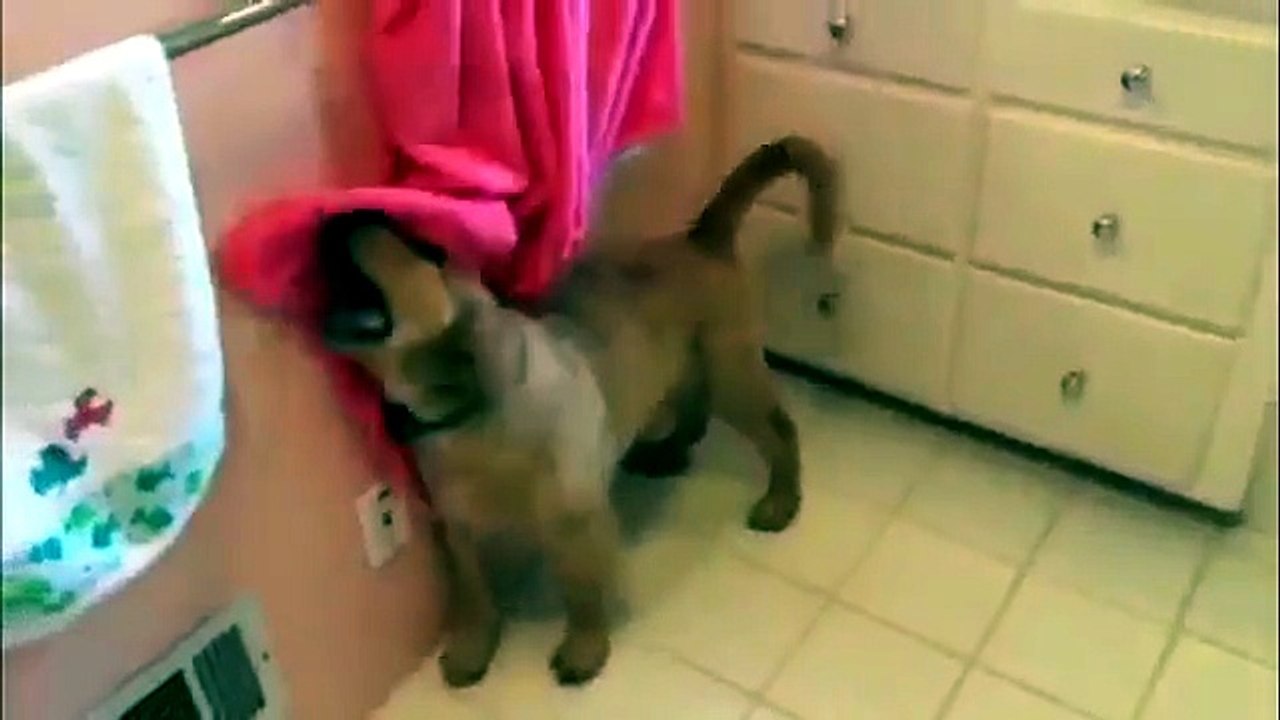 Al bagno ci pensa il Golden