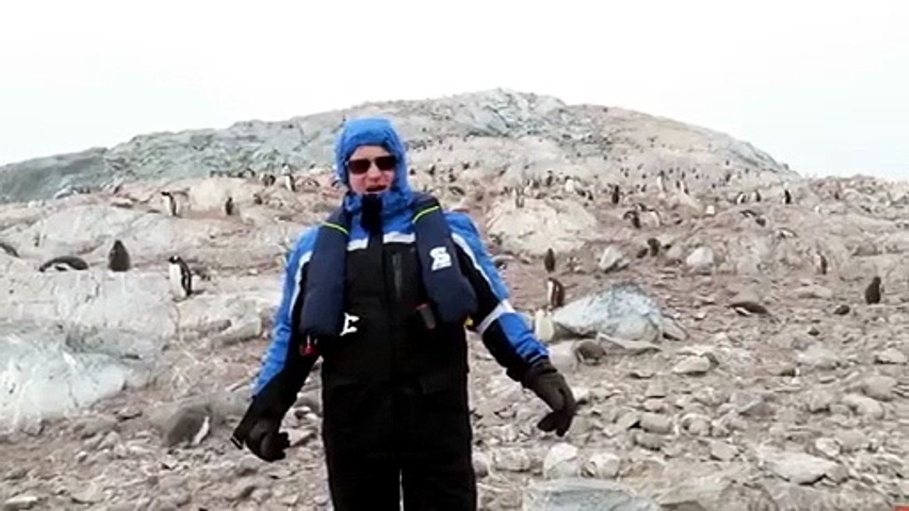 Il cantante lirico si mette a cantare "O' Sole Mio" in Antartide. Ecco la reazione dei pinguini