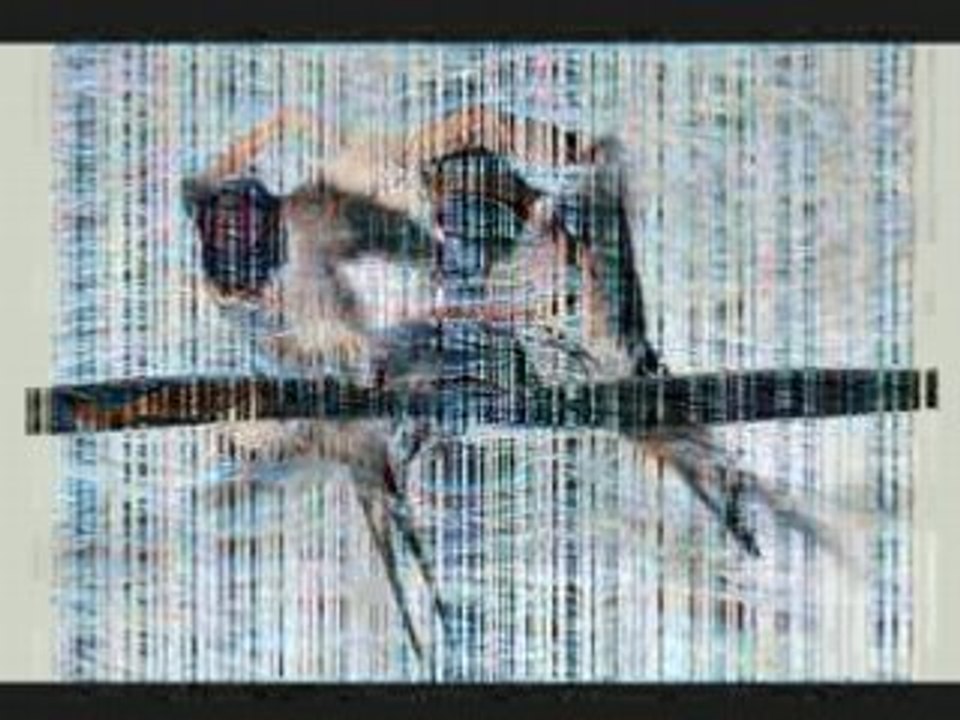 Les oiseaux du monde_0001