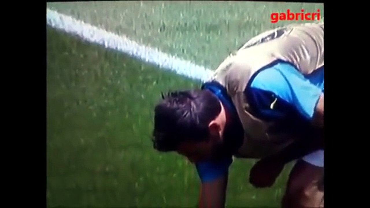 E Barzagli salva la coccinella