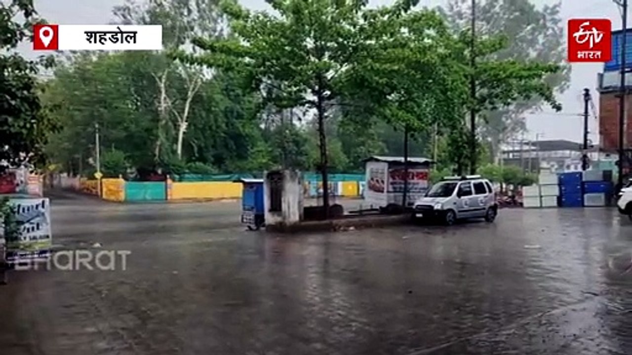 मध्य प्रदेश में मानसून तेजी से बढ़ रहा आगे, शहडोल में झमाझम बरसे बदरा, मौसम हुआ सुहाना