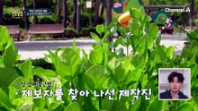 3년동안 10kg 감량! 47세 삼남매 엄마의 놀라운 S라인