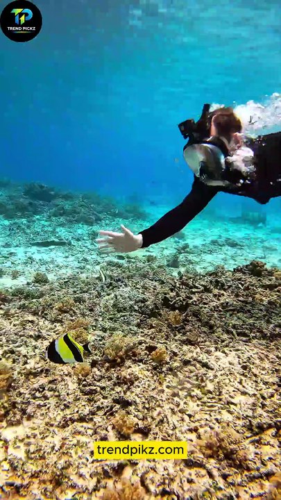 This Full Face Snorkel Mask Changes Everything 🌊🐠