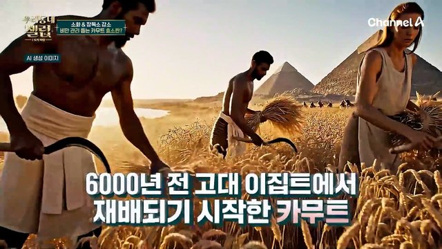약 53종의 영양소 함유! 소화력 증가와 장독소 감소에 도움 주는 카무트 효소
