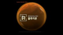 [짤막상식] 바닷속 탄소 창고, 블루카본(Blue Carbon) / YTN