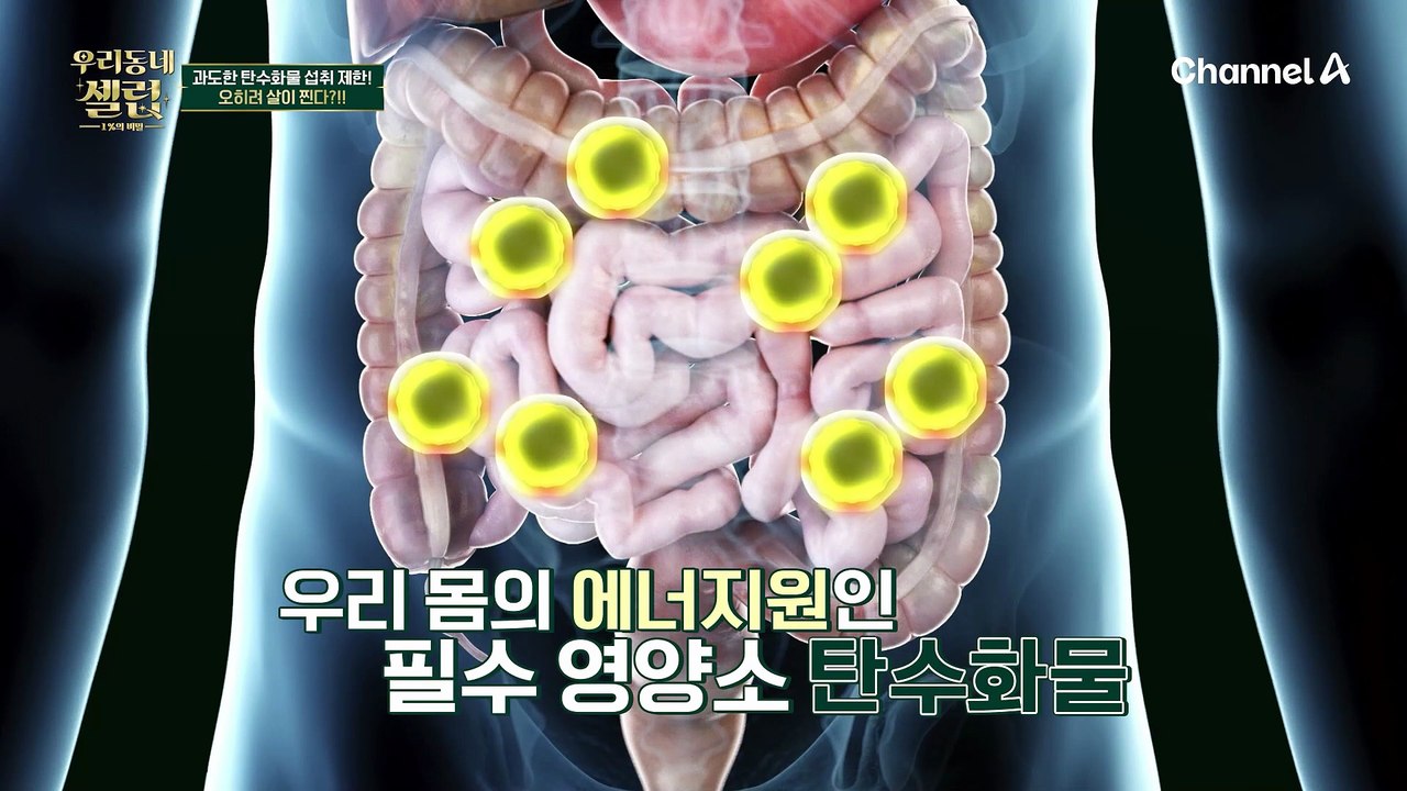 안먹으면 오히려 독? 체중 관리를 위해 탄수화물 섭취와 배출이 가장 중요!