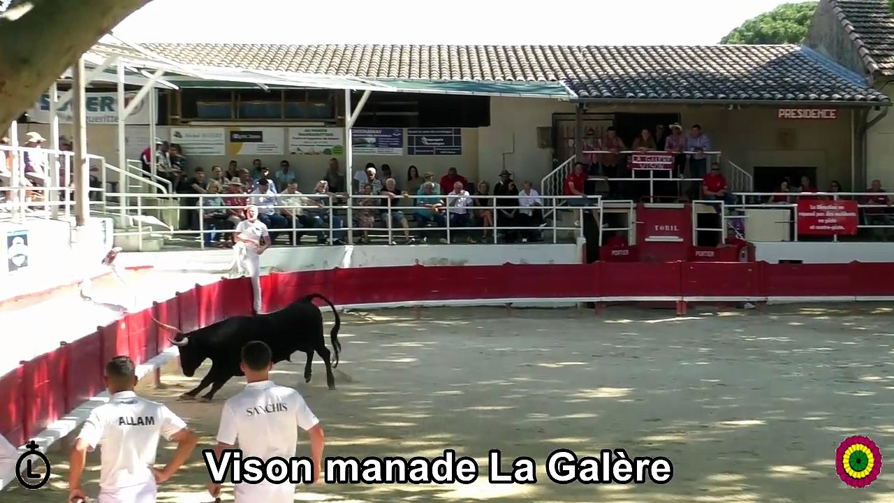 2026 05 24 Vison