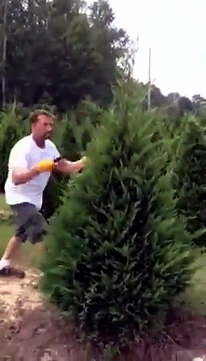 Ci pensa il ninja giardiniere
