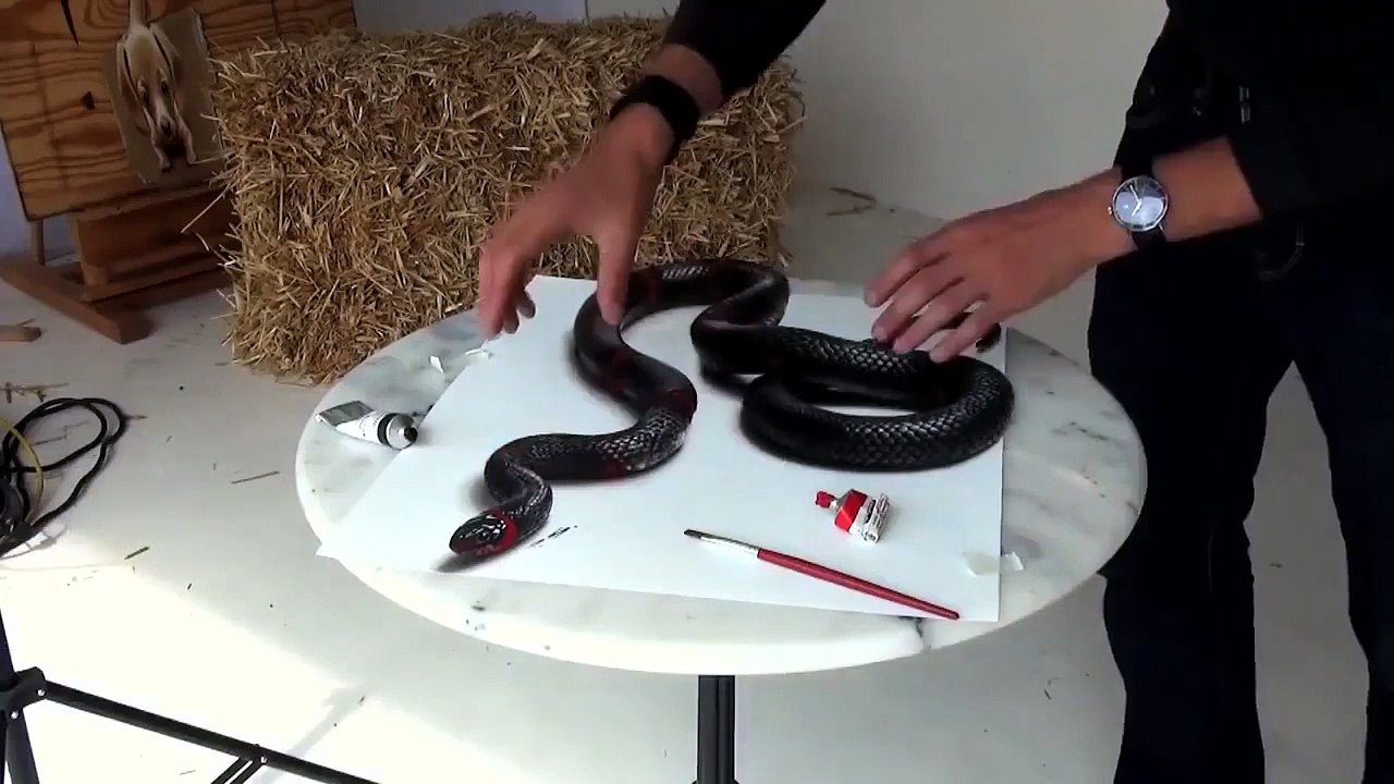 Incredibile! Un vero mago del disegno 3D