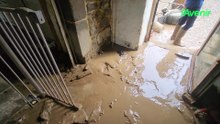 Le Monde d'Emi, centre de formation et de bien-être canin à Balâtre, détruit par les eaux