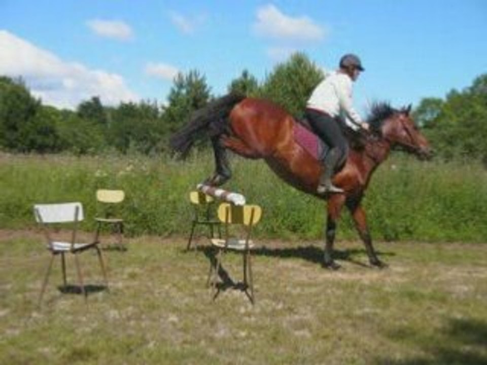 Mardi 17 juin