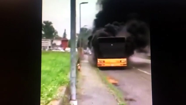 Viarolo: autobus distrutto dalle fiamme